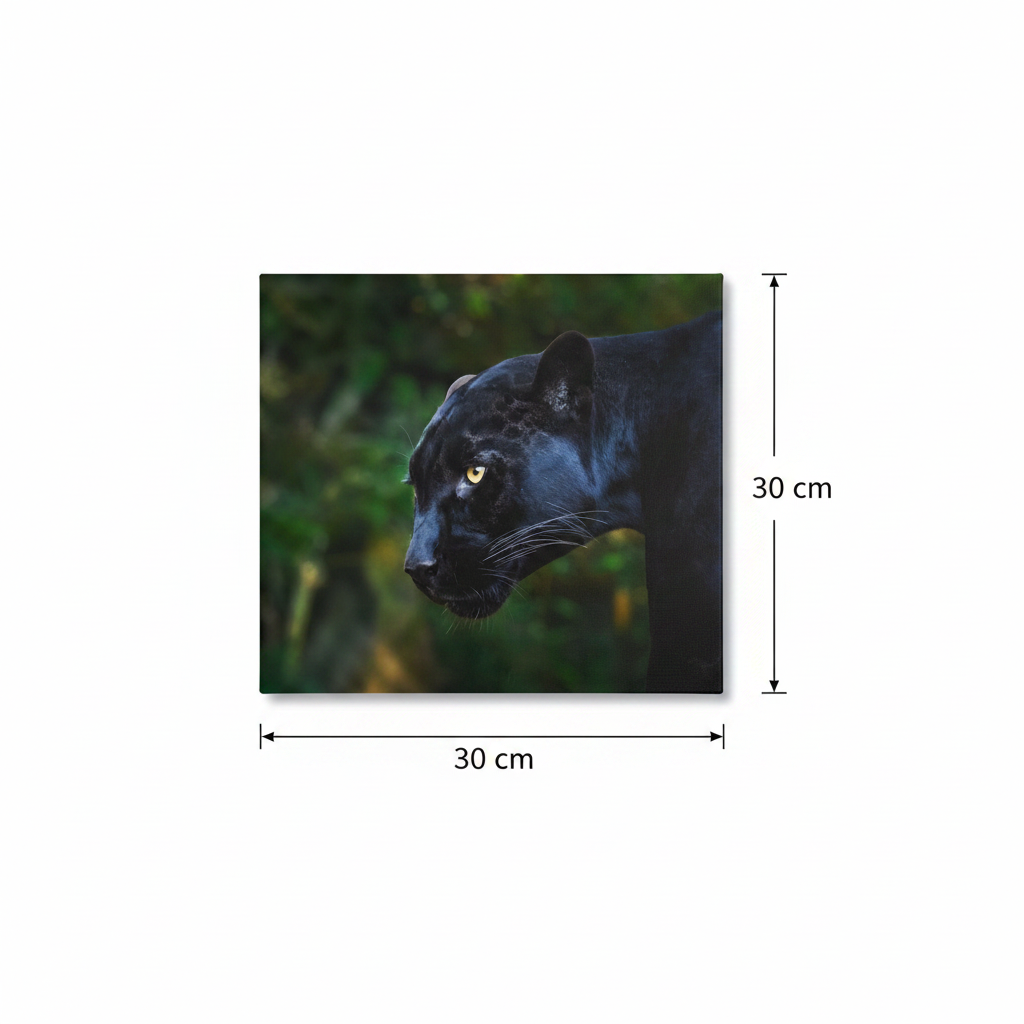 Black Leopard Canvas – 30x30 cm