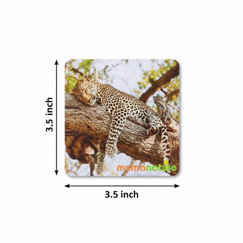 MDF Coaster Dimension Diagram 3.5x3.5 inch